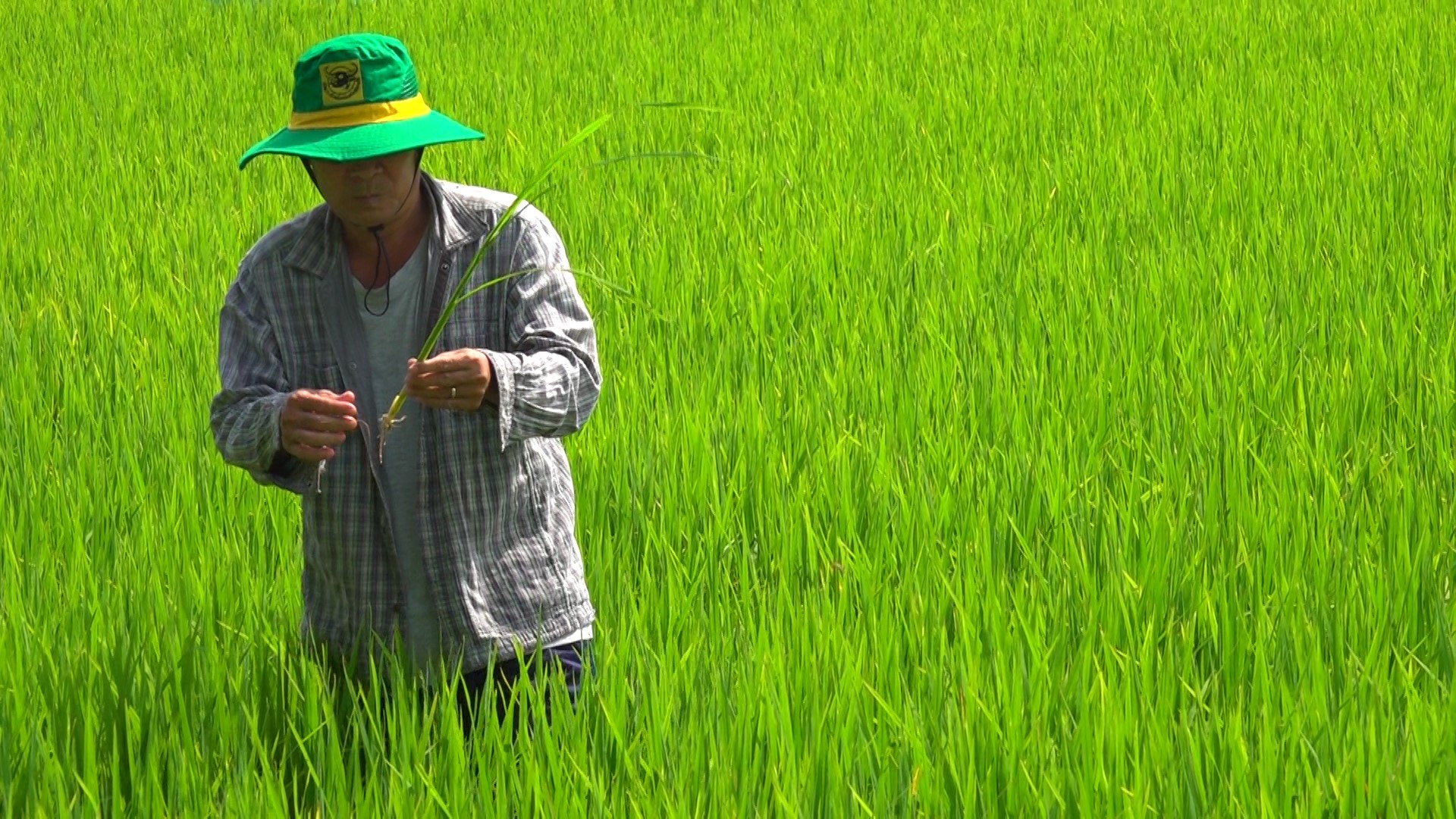 Biện pháp kiểm dịch