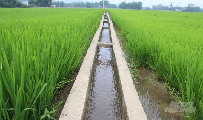 Bố trí kênh mương dẫn nước vào ruộng