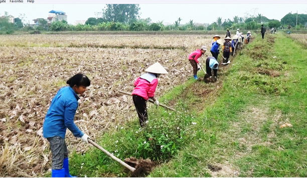 Dọn cỏ kênh mương