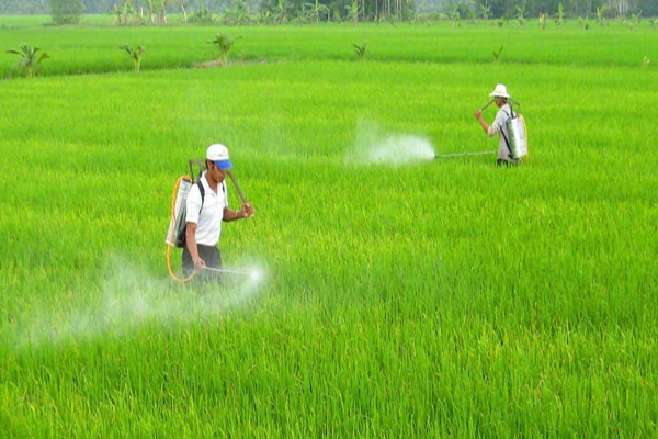 Phun chế phẩm sinh học
