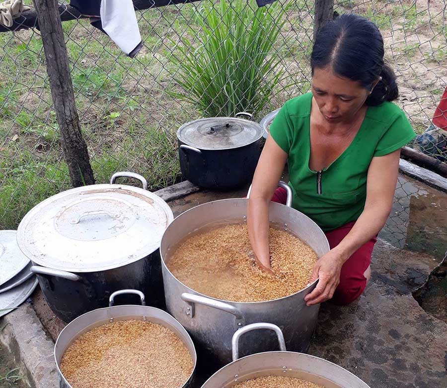 Xử lý hạt giống trước khi ngâm ủ