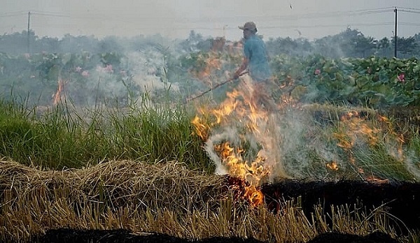 Xử lý rơm rạ sau thu hoạch
