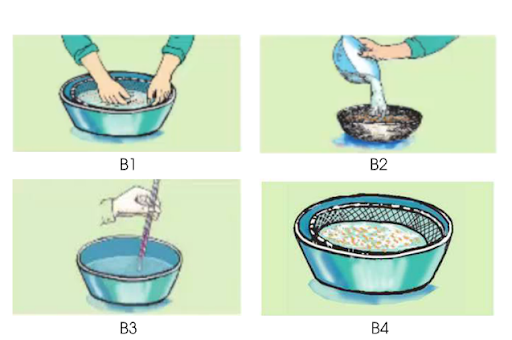 Hình 5. Các bước xử lí hạt giống