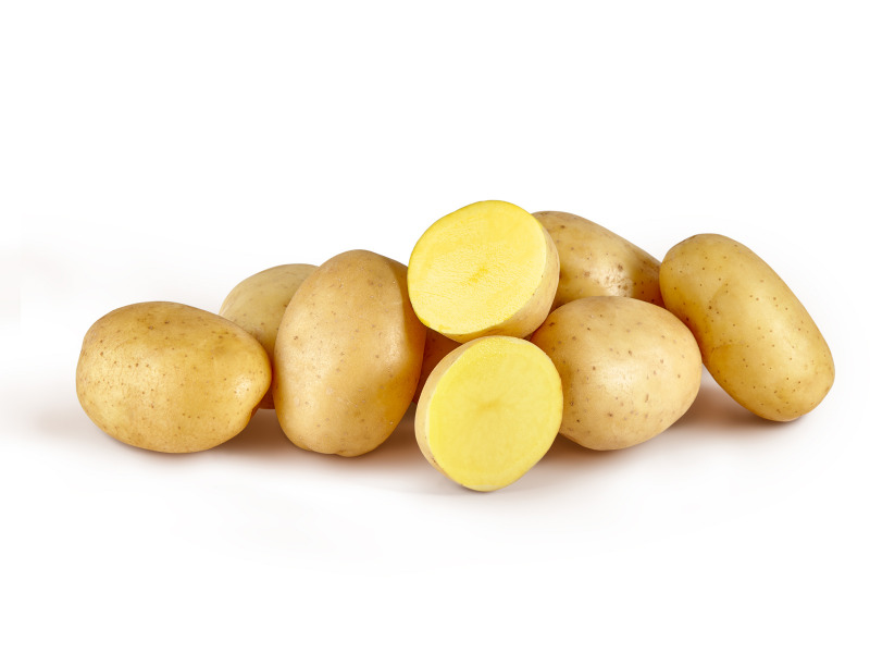 Hình 3: Chọn giống khoai tây kháng bệnh