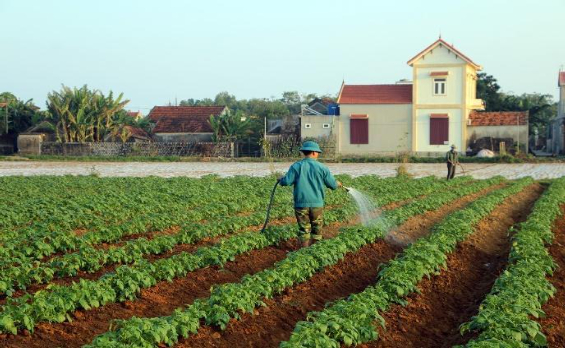 Hình 4. Canh tác hợp lý