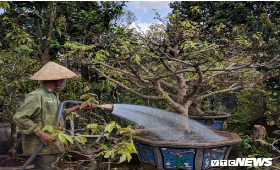 Hình 4. Chăm sóc cẩn thận