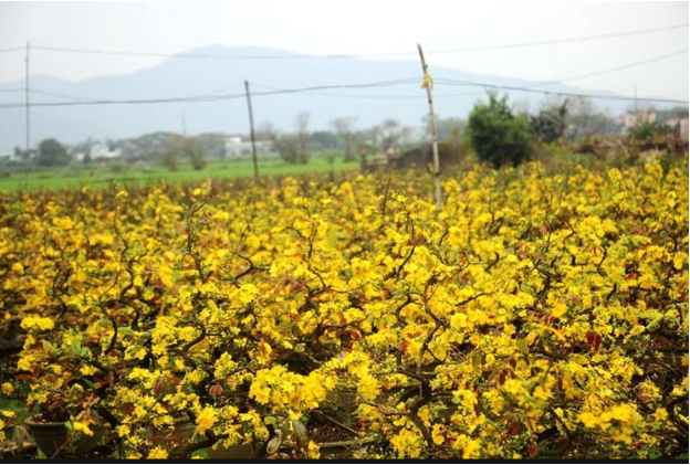 Hình 5. Canh tác hợp lý