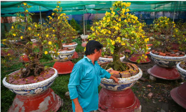 Hình 6. Thăm ruộng kiểm dịch