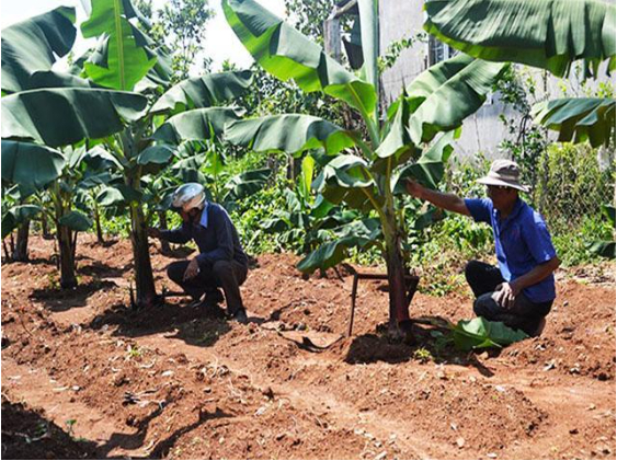 Hình 4. Canh tác hợp lý