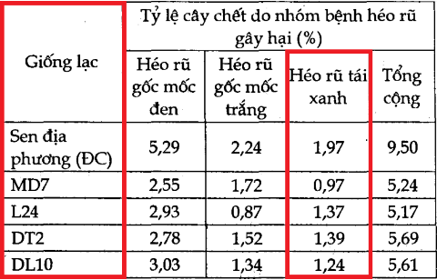 Hình 2: Bệnh ghi nhận gây hại trên nhiều giống lạc