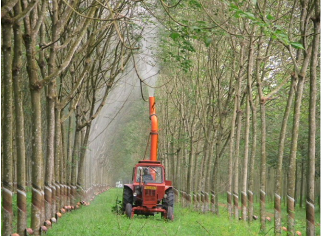 Hình 4. Canh tác hợp lý