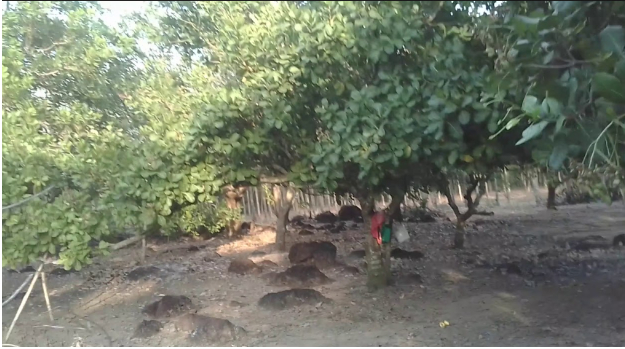 Hình 4. Canh tác hợp lý