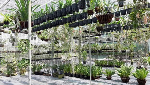 Hình 3. Bố trí hợp lý