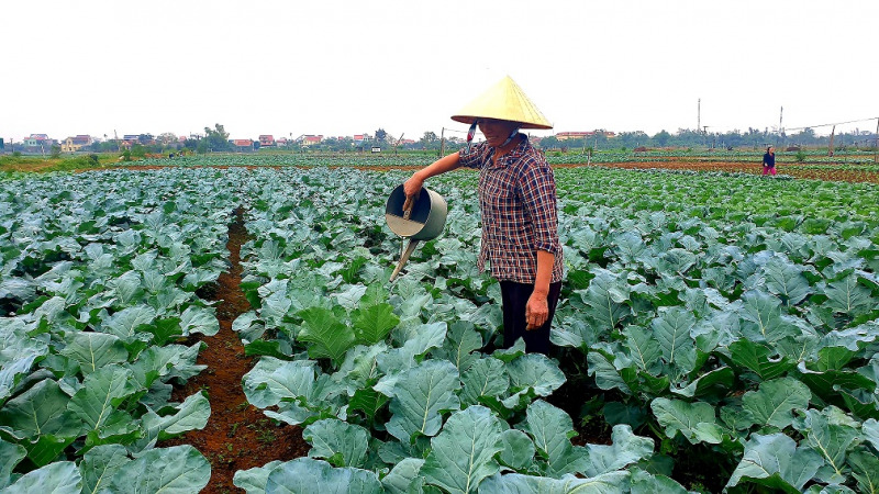 Hình 4. Canh tác hợp lý