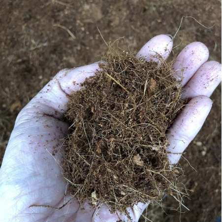 Hình 3. Giá thể xơ dừa