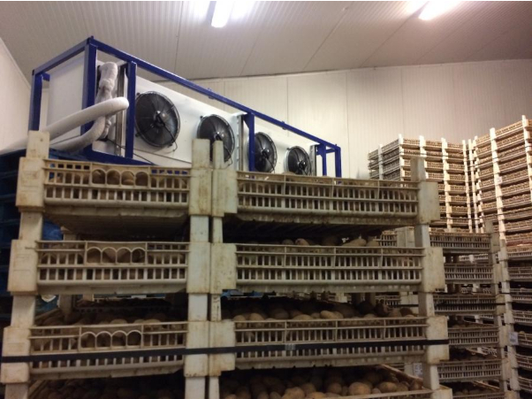 Hình 5: Kho lạnh bảo quản khoai tây