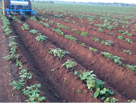 Hình 5. Canh tác hợp lý