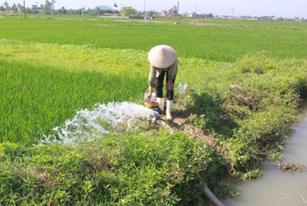 Hình 4. Cấp nước cho ruộng