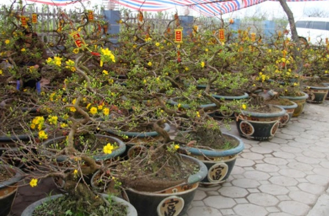 Hình 3. Canh tác hợp lý