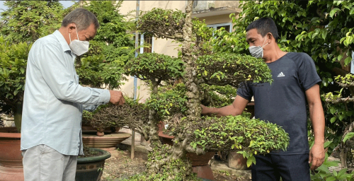 Hình 4. Thăm ruộng kiểm dịch