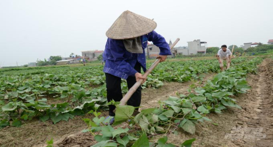 Hình 6. Canh tác hợp lý