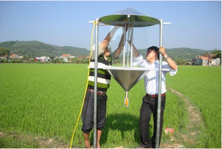 Hình 13. Lắp đặt bẫy đèn