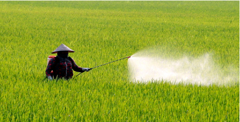 Hình 5: Thực hiện phòng bệnh