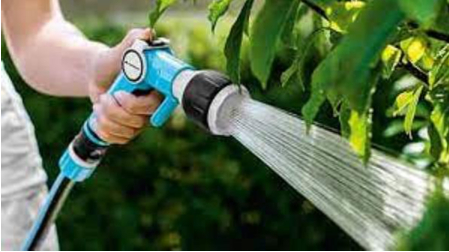 Hình 5 Tưới cây bằng vòi cao áp để loại bỏ rầy bướm