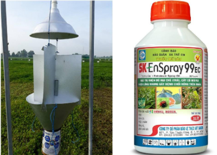 Hình 6: Bẫy đèn và dầu khoáng SK giúp diệt bướm đêm và sâu an toàn