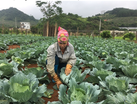 Ảnh 5: Thăm vườn kiểm dịch