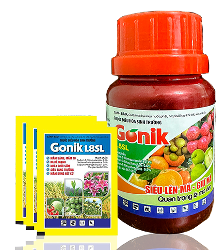 Gonik2